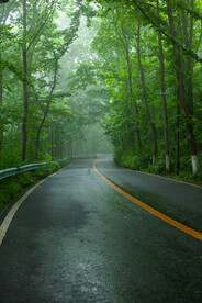 林间公路
