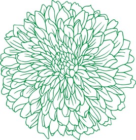 花草植物花开花雕刻
