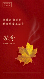 秋分素材 