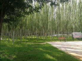 林栖休闲