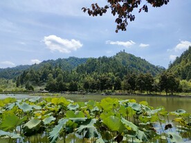 黄山水墨宏村荷花池