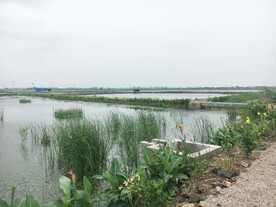 蟹塘清洁池