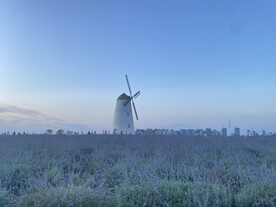 风景图