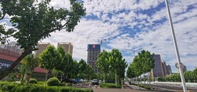 秋高气爽