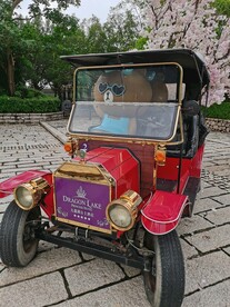 旅游观光车
