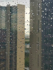 雨中情