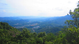  都市风景如画    街边公园
