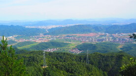  都市风景如画    街边公园
