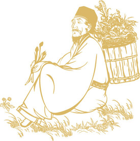中药老人李时珍