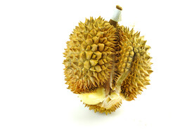 榴莲