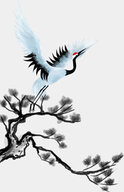 鹤