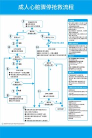成人心脏骤停抢救流程