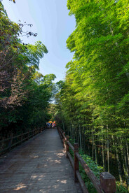 公园道路