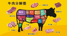 牛肉部位分解全图