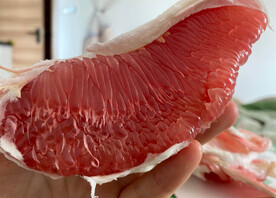 柚子果肉