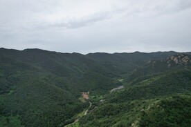 青山沟