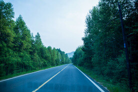 森林道路