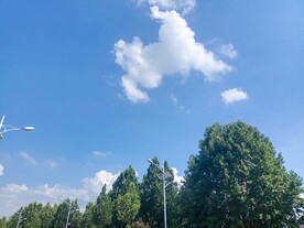 仰望天空