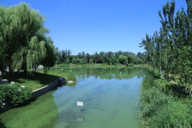湖水风景 