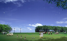 效果图配景素材