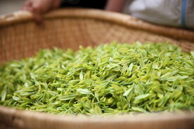 商南茶叶