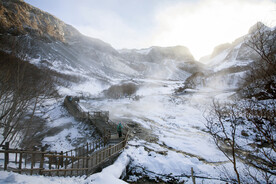 冬季雪地