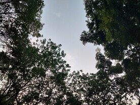 仰望天空