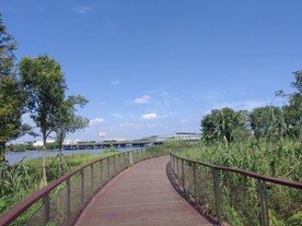 湿地公园观光木质步道