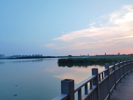 湿地公园观光步道的黄昏