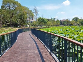 湿地公园荷塘边观光步道