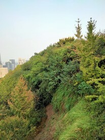 小山坡