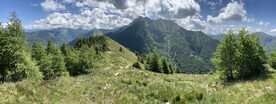 阿尔卑斯山