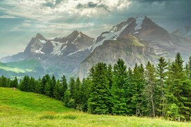 阿尔卑斯山