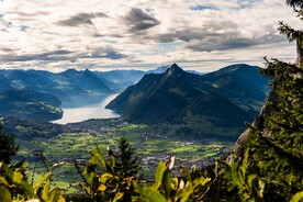 阿尔卑斯山