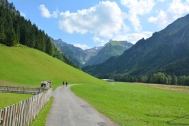 阿尔卑斯山