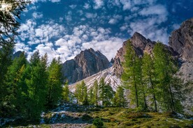 阿尔卑斯山