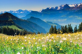 阿尔卑斯山