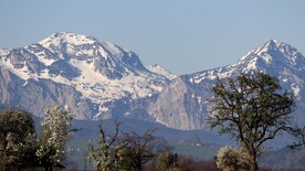 阿尔卑斯山