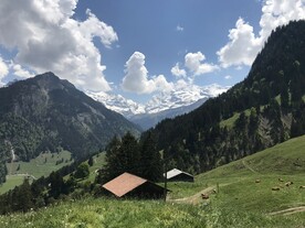 阿尔卑斯山