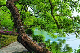 杭州西湖风景
