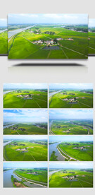 农田风景4K航拍