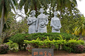 文昌东郊椰林