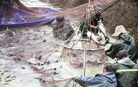 秋季渔民丰收季