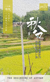 秋分