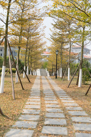 公路道路