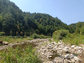 河道
