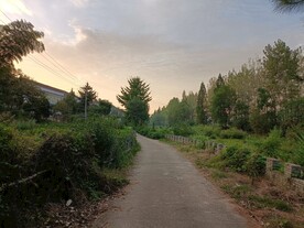乡村小路