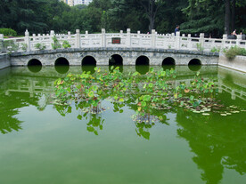 公园小桥