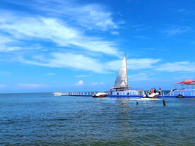大海