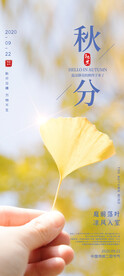 秋分